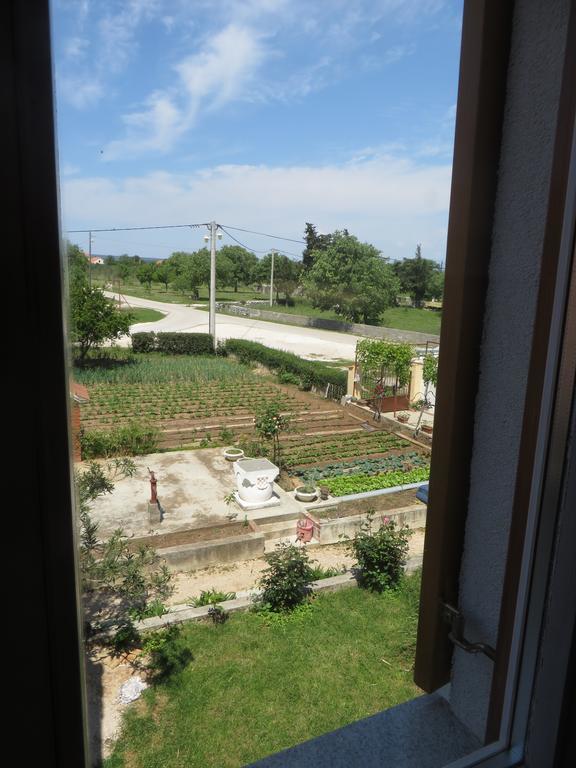Filipovic Apartments With Pool Biograd Na Moru Luaran gambar