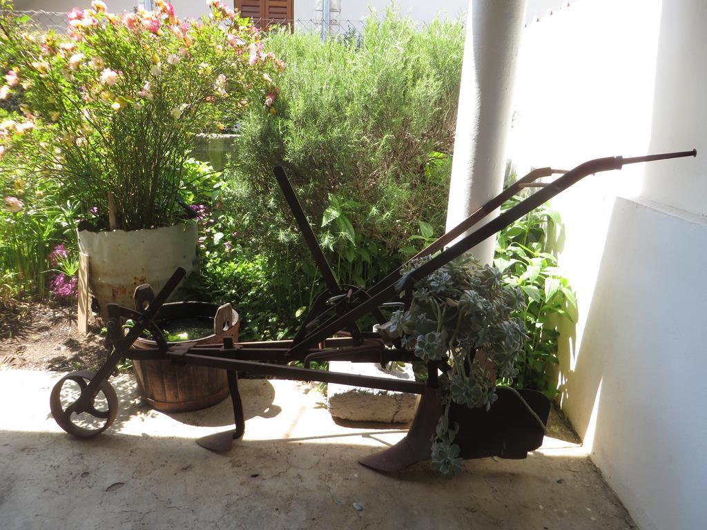 Filipovic Apartments With Pool Biograd Na Moru Luaran gambar